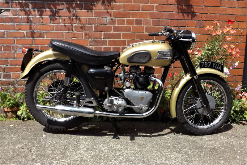 Bike trader best sale triumph