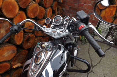 Pioneer XF 125 Torro 2010
